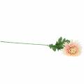 Floristik24 Chryzantéma květina větev růžová umělá 64cm