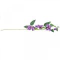 Floristik24 Umělý plamének, hedvábný květ, ozdobná větvička s květy plaménku fialová L84cm
