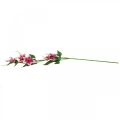 Floristik24 Větev plaménku s 5 květy, umělá květina, ozdobná větev růžová, bílá L84cm