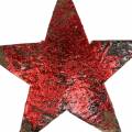Floristik24 Kokosová hvězda červená 5cm 50ks Vánoční dekorace ozdobné hvězdičky