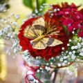 Floristik24 Jarní motýlek s klipem zlatá jarní dekorace 6cm 10ks v sadě