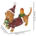 Dekorativní figurka jezevčíka s dárkovým balením a kloboukem, 18 cm | Floristik24.cz
