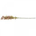 Floristik24 Ozdobná větev s květy umělá růžová větev Daphne 110cm 3ks