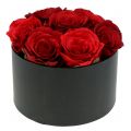 Floristik24 Květináč truhlík na růže černý kulatý Ø18cm - Ø20cm 2ks