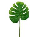 Floristik24 Deco Leaf Philo Leaf Green W11cm L29,5cm 3ks