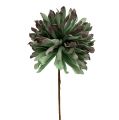 Floristik24 Dekorativní květ větev pěnová zelená 70cm