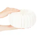 Papírový kroužek s voštinovou dýní, kulatý, velký, na sušené květiny a podzimní dekoraci 24cm, 4 ks | Floristik24.cz