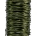 Floristik24 Deco smaltovaný drát olivově zelený Ø0,50mm 50m 100g