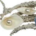 Floristik24 Deco mix lastura s perlou a dřevem bílá, modrá 200g