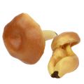 Floristik24 Ozdobné houby mix světle hnědé 8cm - 11cm 13ks