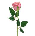 Floristik24 Deko růže Ø6cm stará růže L50cm 1ks