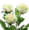 Floristik24 Deco růže krémově-růžová Ø10cm 52cm 3ks