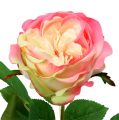 Floristik24 Deco rose pink Ø10cm 52cm 3ks