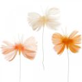 Floristik24 Motýlci v odstínech oranžové, jarní dekorace Motýlci z peří na drátě 6ks