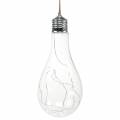 Floristik24 LED světlo dekorativní žárovka teplá bílá 20cm