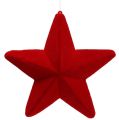 Floristik24 Dekorativní hvězda červená vločkovaná 20cm