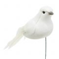 Floristik24 Dekorativní holubi na drátě bílí 9cm 6ks