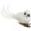 Floristik24 Deco pár holubic Deco ptáci s klipem bílá L5cm 4ks