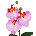 Floristik24 Dekorativní orchidej v květináči růžová V29cm