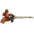 Floristik24 Deco růže kytice umělé květiny růže kytice oranžová 45cm 3ks