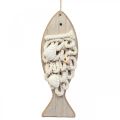 Deco přívěsek rybička dřevěná ryba námořní dekorace dřevo 6,5×19,5cm