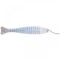 Floristik24 Dekorativní rybí dřevo dřevěná rybka na zavěšení světle modrá V57,5cm