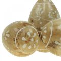 Floristik24 Dřevěná vajíčka, ozdobná vajíčka, kraslice z mangového dřeva 8×5cm 6ks