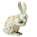 Floristik24 Dekorativní králíci sedící stojící bílé zlato V12,5x16,5cm 2ks