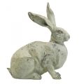 Floristik24 Dekorativní králík sedící kamenný vzhled zahradní dekorace H30cm 2ks
