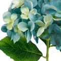 Floristik24 Dekorativní hortenzie modrá umělá květina Umělá zahradní květina V35cm