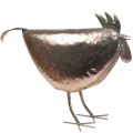 Floristik24 Deco Chicken Metal Deco Metal Bird Metallic Rosé 51×16×36cm