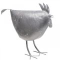 Dekorativní kuře kovová dekorace kovový ptáček zinek 51cm×16cm×36cm