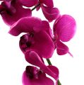 Floristik24 Dekorativní orchidej růžová L77cm