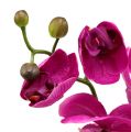 Floristik24 Dekorativní orchidej růžová L77cm