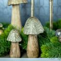 Floristik24 Dekorativní houba kov dřevo zlatá, přírodní dekorace na stůl podzim 18,5cm