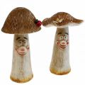 Floristik24 Deco houby Podzimní dekorace vtipné houby Ø15/12cm V22/25cm 2ks