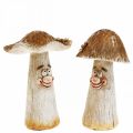 Floristik24 Deko houby podzimní dekorace legrační houby Ø7/9cm H13cm 2ks
