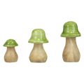 Floristik24 Dekorativní houby dřevěné dřevěné houby světle zelené lesklé H6/8/10cm sada 3 ks