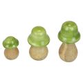 Floristik24 Dekorativní houby dřevěné dřevěné houby světle zelené lesklé H6/8/10cm sada 3 ks