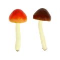 Floristik24 Deko houby hnědé, oranžové 9cm 12ks