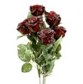 Floristik24 Deco růže zasněžená červená Ø6cm 6ks