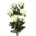Floristik24 Dekorativní růže bílá zasněžená Ø6cm 6ks