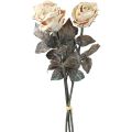 Floristik24 Dekorativní růže Krémově bílé Umělé růže Hedvábné květiny Starožitný vzhled L65cm Balení po 3 kusech