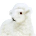 Floristik24 Dekorativní ovečka ve stádě 15cm bílá 3ks