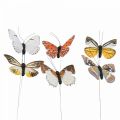 Floristik24 Deko motýl na drátě barevná jarní dekorace 8cm 12ks