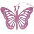 Floristik24 Deco motýli deko věšák fialová/růžová/růžová 12cm 12ks