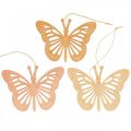 Floristik24 Deco motýli deko věšák oranžový/růžový/žlutý 12cm 12ks