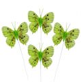 Floristik24 Dekorativní motýli zelení 8cm 6ks