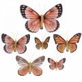 Floristik24 Deco motýli s klipem B4,5–11,5cm 10ks hnědooranžový