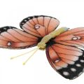 Floristik24 Deco motýli s klipem B4,5–11,5cm 10ks hnědooranžový